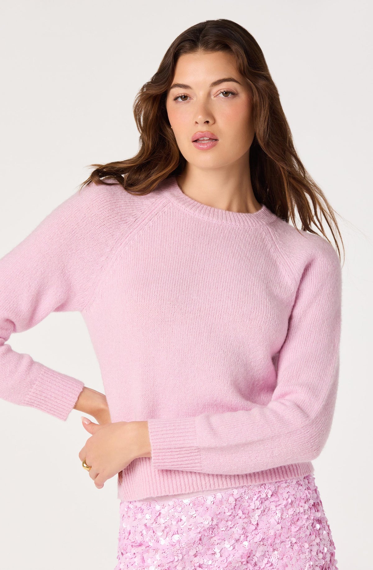 Brigett Raglan Crewneck Sweater